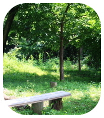 大井吾妻山緑地