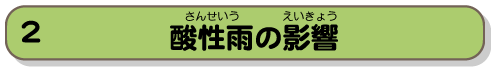 酸性雨の影響