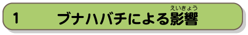 ブナハバチによる影響