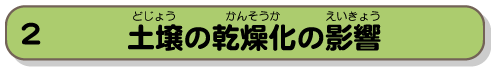 土壌の乾燥化の影響