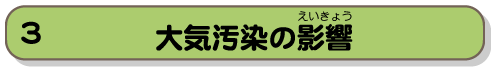 大気汚染の影響