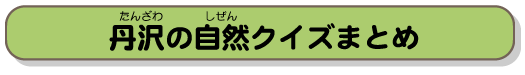 丹沢の自然クイズまとめ