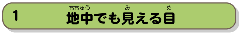 地中でも見える目