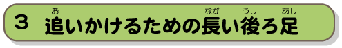 追いかけるための長い後ろ足