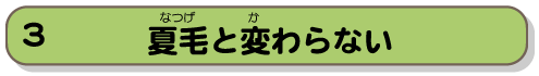 夏毛と変わらない