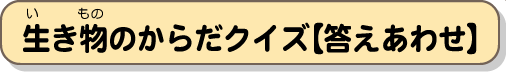 生き物のからだクイズ【答え合わせ】