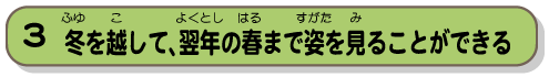 冬を越して、翌年の春まで姿を見ることができる