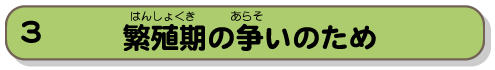 繁殖期の争いのため