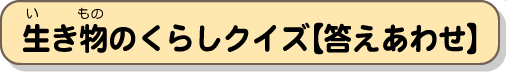 生き物のくらしクイズ【答え合わせ】