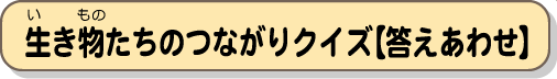 生き物たちのつながりクイズ【答え合わせ】