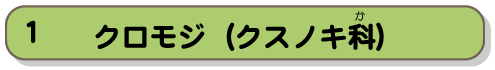 クロモジ（クスノキ科）