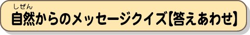 自然からのメッセージクイズ【答え合わせ】