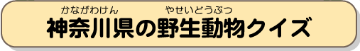 神奈川県の野生動物クイズ