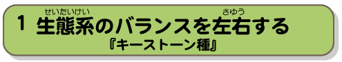 生態系のバランスを左右する『キーストーン種』