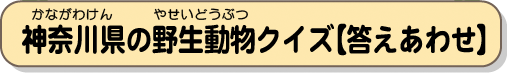 神奈川県の野生動物クイズ【答えあわせ】