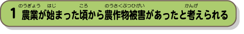 農業が始まった頃から農作物被害があったと考えられる