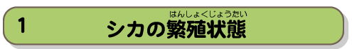 シカの繁殖状態