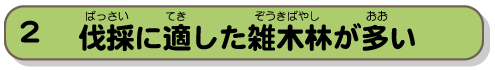 伐採に適した雑木林が多い