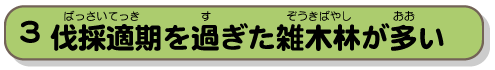 伐採適期を過ぎた雑木林が多い