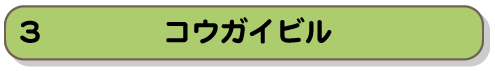 コウガイビル