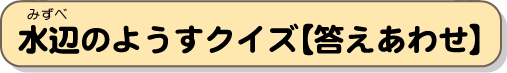 里山のようすクイズ【答えあわせ】
