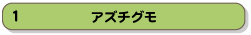 アズチグモ