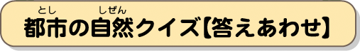 都市の自然クイズ【答えあわせ】