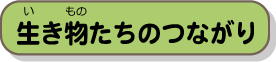 生き物たちのつながり