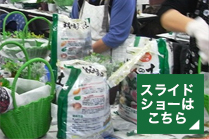 スライドショーはこちら